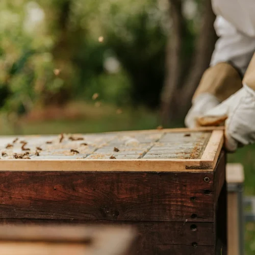logo-agricultor-gómez (2)