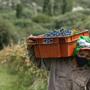 logo-agricultor-gómez (3)