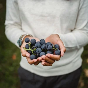 contacto-contacto-agricultor-gomez