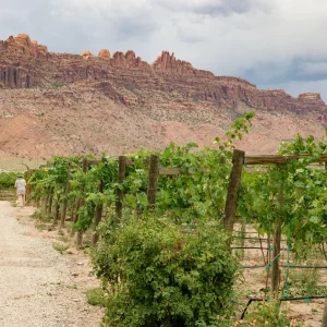 por-qué-somos-los-mejores